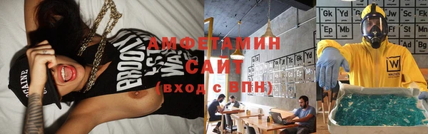 шишки Инсар