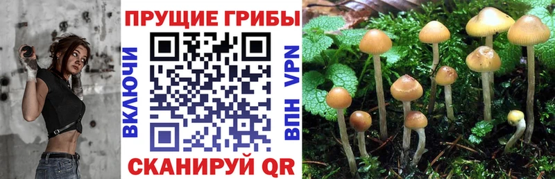 Псилоцибиновые грибы ЛСД  kraken ссылки  Бутурлиновка 